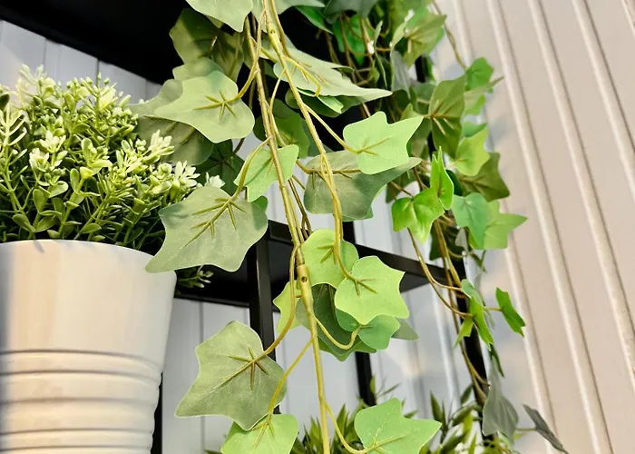 Palkoevei 65. Palkove